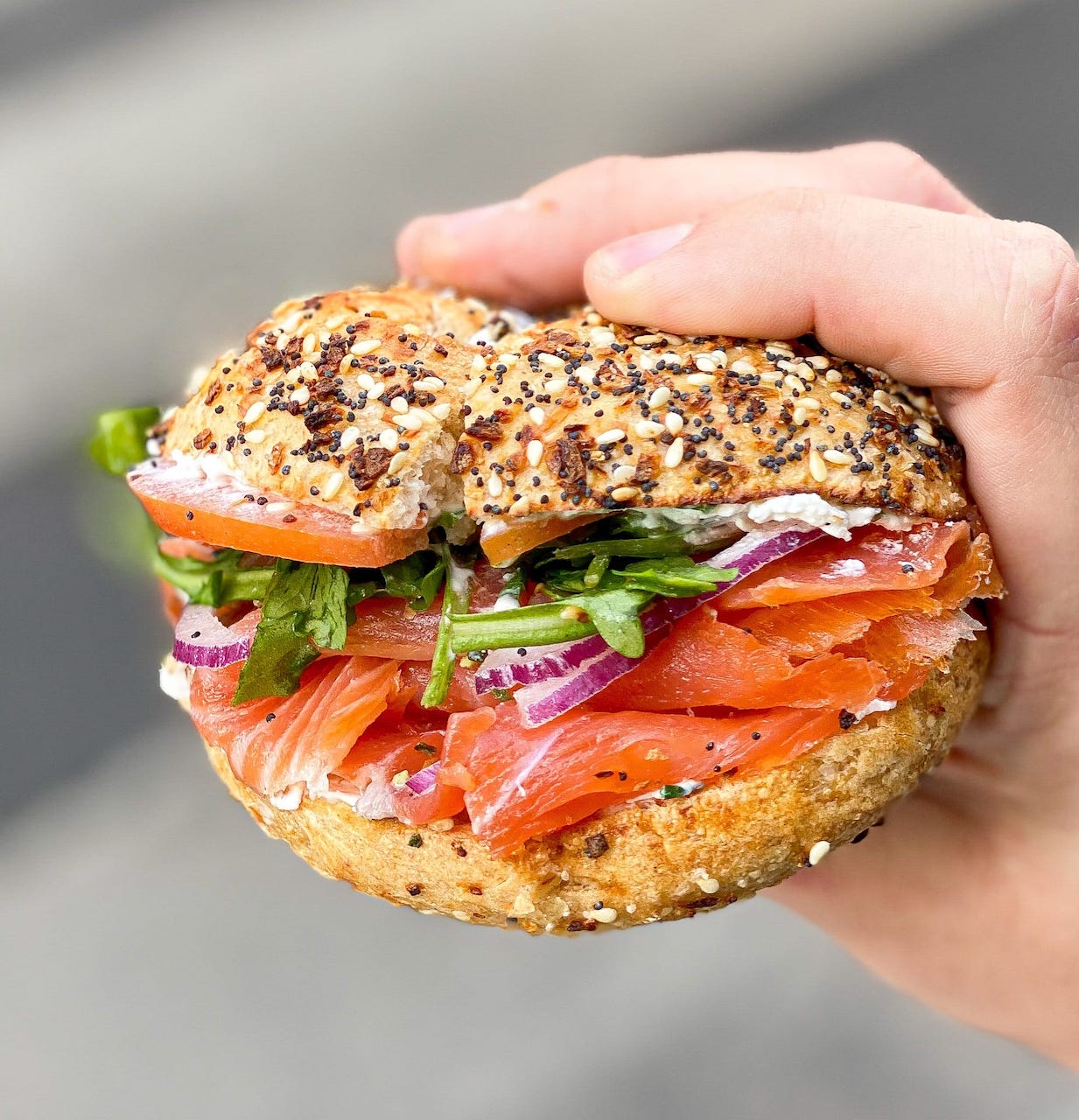 Forest Hills Bagels bagel