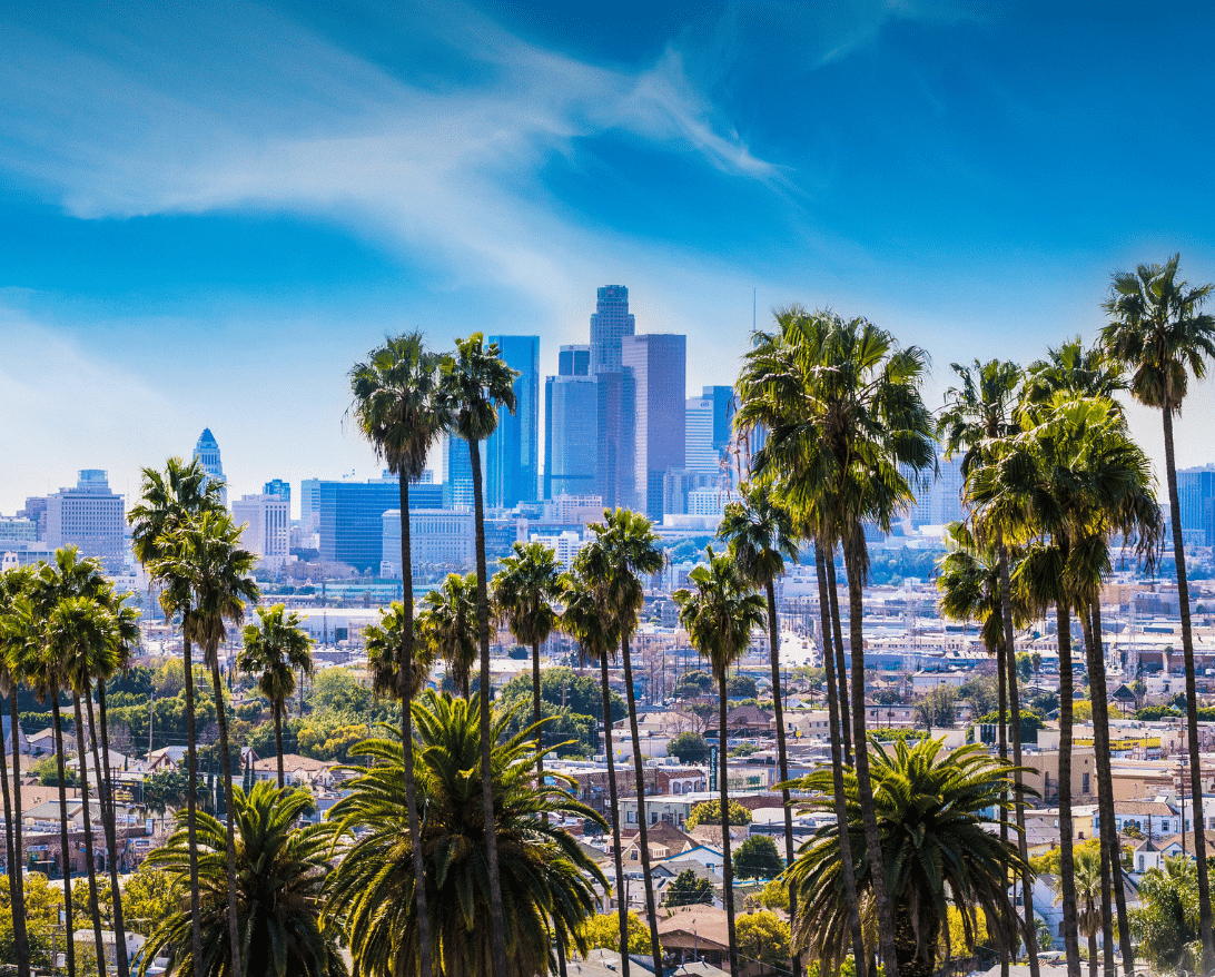 LA third-party delivery